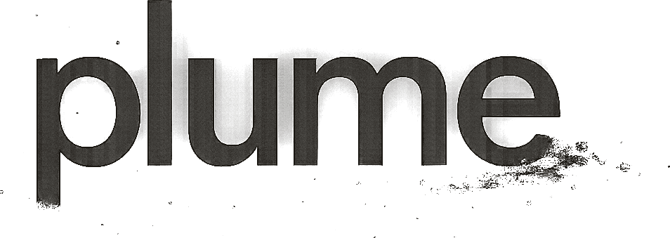PlumeIO logo